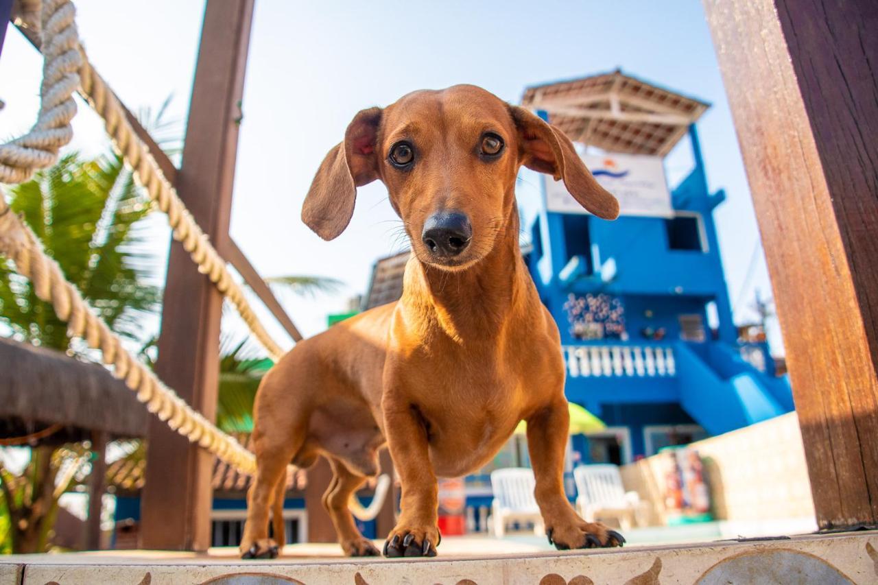 Pousada Agua Marinha-Familias & Pets อังกราโดสเฮย์ส ภายนอก รูปภาพ